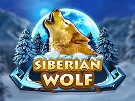 Siberian wolf game screenshot